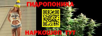 спайс Нальчик