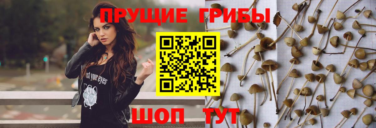 Юрга  MDMA  ГАШ  Alpha-PVP СОЛЬ   Меф  МЕТ  Вход с VPN  Cocaine  Каннабис  Метадон  Мефедрон кристаллы 