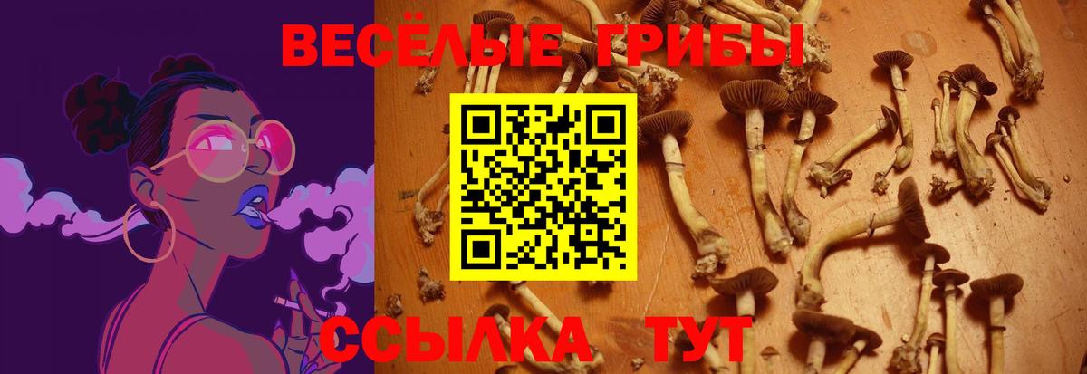 Юрга  Галлюциногенные грибы прущие грибы  Вход с VPN 